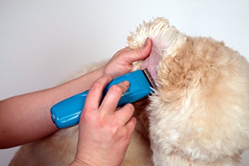 Andis-73515-Pulse-Li-5-CordCordless-Grooming-Clipper-for-Dogs-Cats-and-Equine-Teal-0-1.jpg
