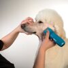 Andis-73515-Pulse-Li-5-CordCordless-Grooming-Clipper-for-Dogs-Cats-and-Equine-Teal-0-2.jpg