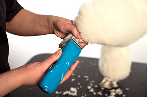 Andis-73515-Pulse-Li-5-CordCordless-Grooming-Clipper-for-Dogs-Cats-and-Equine-Teal-0-3.jpg