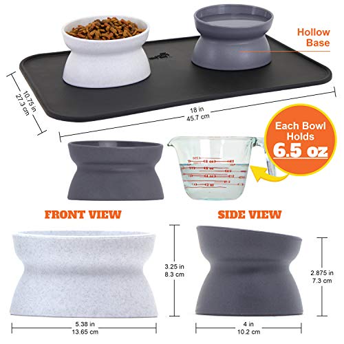 Kitty-City-Raised-Cat-Food-Bowl-CollectionStress-Free-Pet-Feeder-and-Waterer-0-0.jpg
