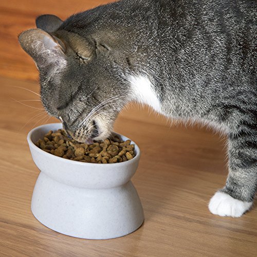 Kitty-City-Raised-Cat-Food-Bowl-CollectionStress-Free-Pet-Feeder-and-Waterer-0-2.jpg