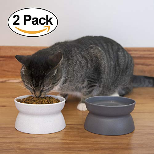 Kitty-City-Raised-Cat-Food-Bowl-CollectionStress-Free-Pet-Feeder-and-Waterer-0-5.jpg