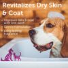 Nootie-Pet-Shampoo-for-Sensitive-Skin-Revitalizes-Dry-Skin-Coat-Natural-Ingredients-Soap-Paraben-Sulfate-Free-Cleans-Conditions-0-2.jpg