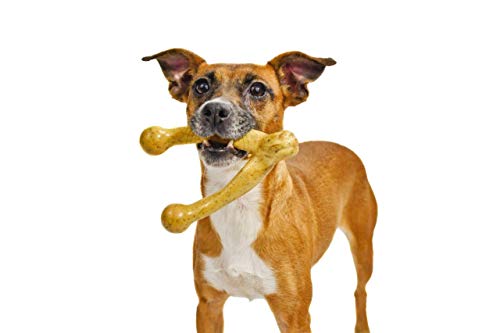 Pet-Qwerks-Wish-BarkBone-For-Aggressive-Chewers-Made-in-USA-0-4.jpg