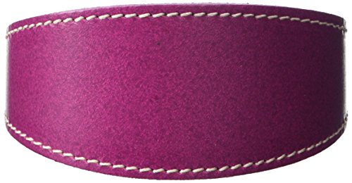 BBD-Pet-Products-Whippet-Collar-One-Size-34-x-10-to-12-Inch-Boysenberry-0-0.jpg