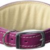 BBD-Pet-Products-Whippet-Collar-One-Size-34-x-10-to-12-Inch-Boysenberry-0.jpg