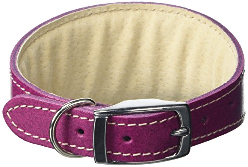 BBD-Pet-Products-Whippet-Collar-One-Size-34-x-10-to-12-Inch-Boysenberry-0.jpg