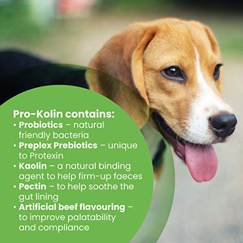 Protexin-pet-health-Pro-Kolin-for-Dogs-and-Cats-Probiotic-Paste-and-Syringe-60-ml-Pack-of-1-0-1.jpg